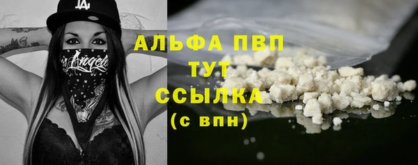 шишки Лабытнанги